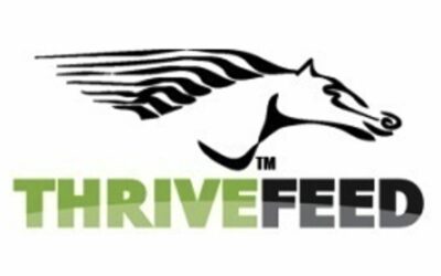 Thrive Feed